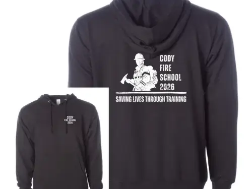 Saving Lives Hoodie